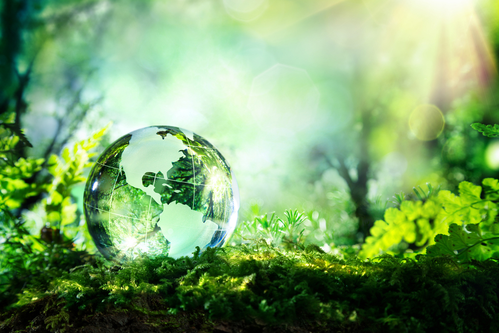 Introduction to Environmental Sciences